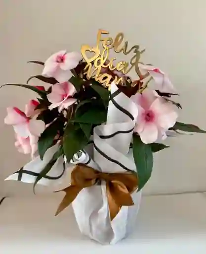 Flor Besito Blanco Con Fucsia