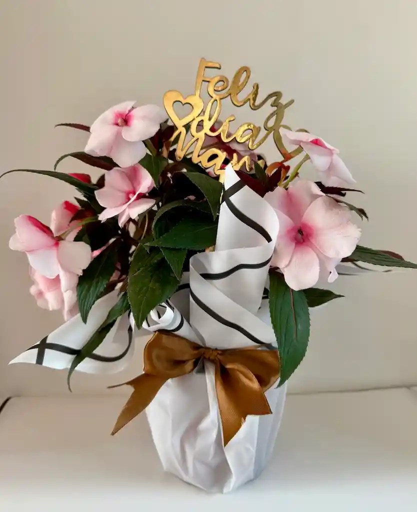 Flor Besito Blanco Con Fucsia