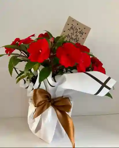 Flores Rojas Día De La Madre