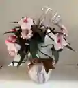Arreglo Floral En Maceta Blanco Y Fucsia