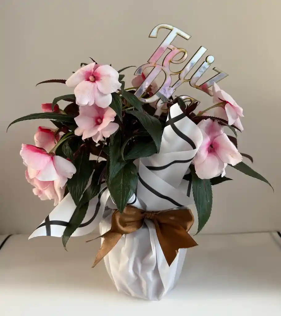 Arreglo Floral En Maceta Blanco Y Fucsia