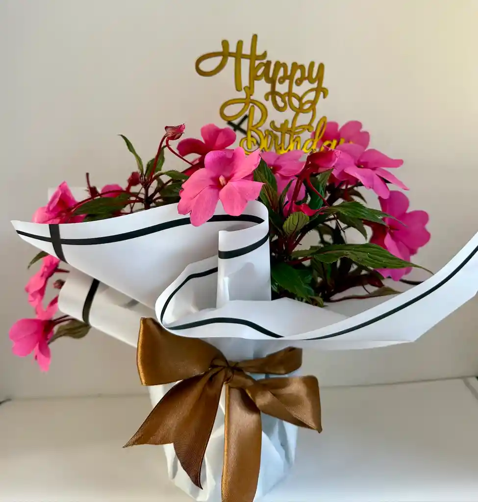 Arreglo Floral En Maceta Happy Birthday