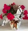 Arreglo Floral En Maceta Te Amo