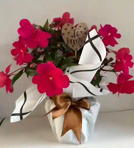 Arreglo Floral En Maceta Te Amo