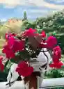 Arreglo Floral En Maceta Te Amo