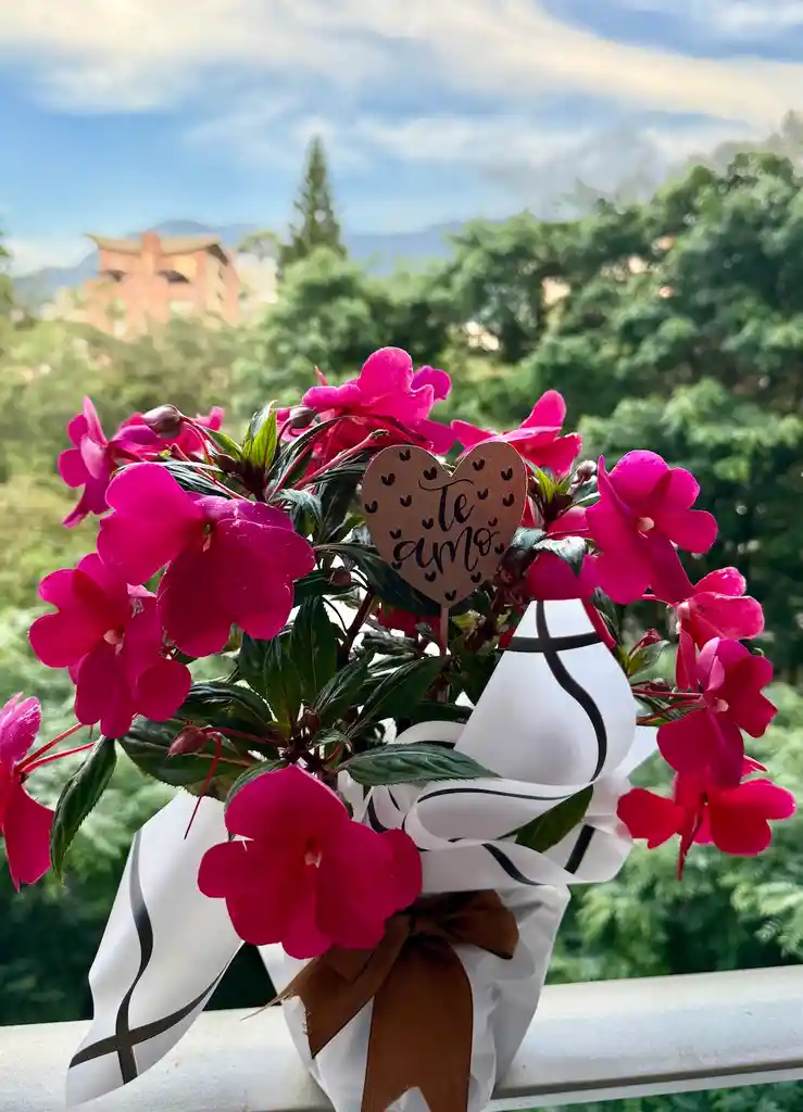 Arreglo Floral En Maceta Te Amo
