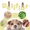 Petmeal Deliflor Res 500g