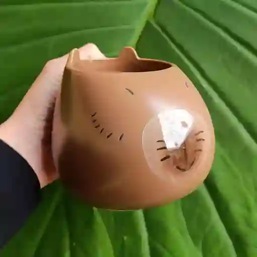 Mug Taza Pocillo Vaso Ceramica Motivo Capibara Chigüiro
