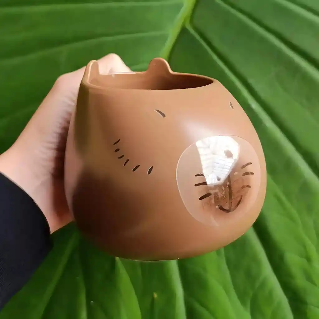 Mug Taza Pocillo Vaso Ceramica Motivo Capibara Chigüiro