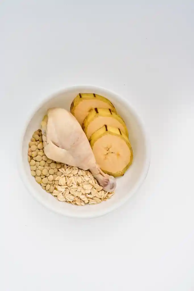 Petmeal Vita K Pollo 500g