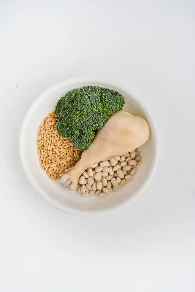 Petmeal Vita C Pollo 500g