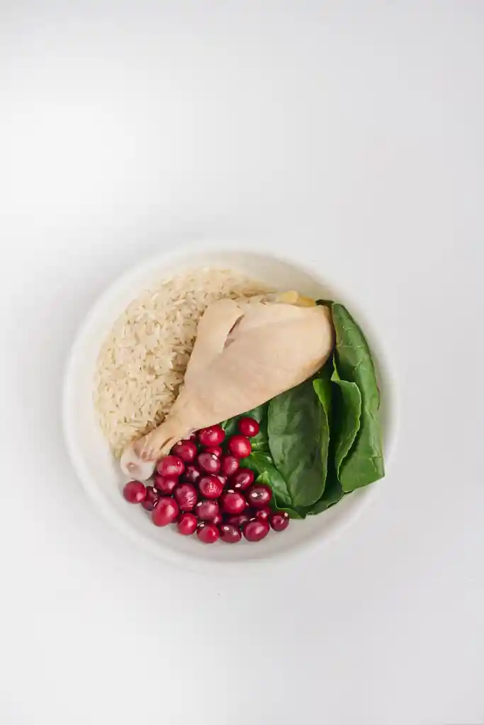 Petmeal Vita A Pollo 500g