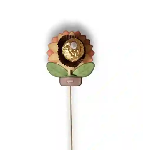 Unidad Chocolate Ferrero