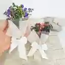 Regalo Dia De La Madre: Suculenta Mamá + Mini Bouquet 💐+ Caja 30 Frases Motivacionales