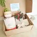 Regalo Dia De La Madre: Suculenta Mamá + Mini Bouquet 💐+ Caja 30 Frases Motivacionales