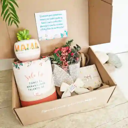 Regalo Dia De La Madre: Suculenta Mamá + Mini Bouquet 💐+ Caja 30 Frases Motivacionales