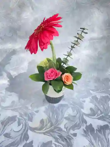 Gerbera En Jarrita