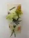 Tarjeta Floral
