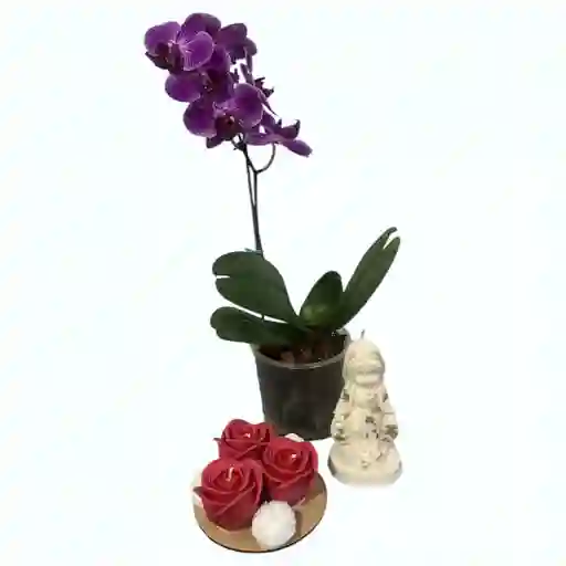 Orquídea Mediana Y Kit De Velas Virgen