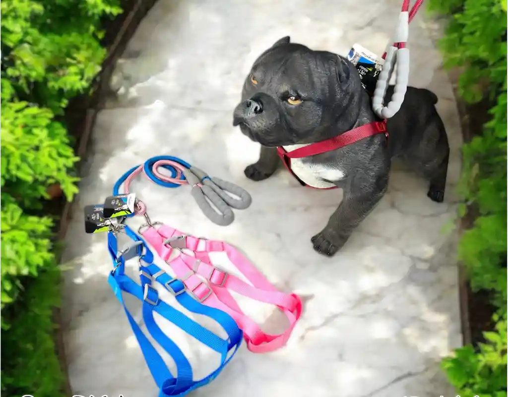 Arnés Razas Grandes De Lujo