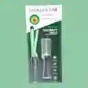 Combo Plancha De Cabello + Cepillo Secador Linea Aguacate