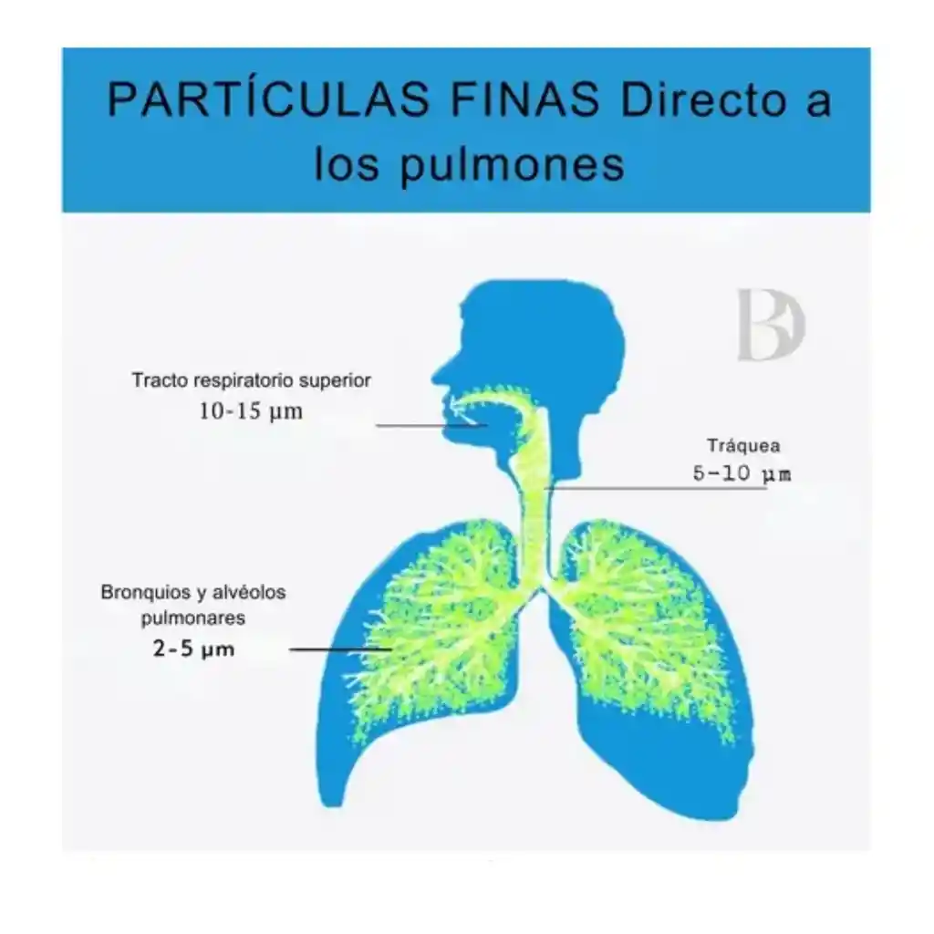 Nebulizador Portatil Adultos Niños