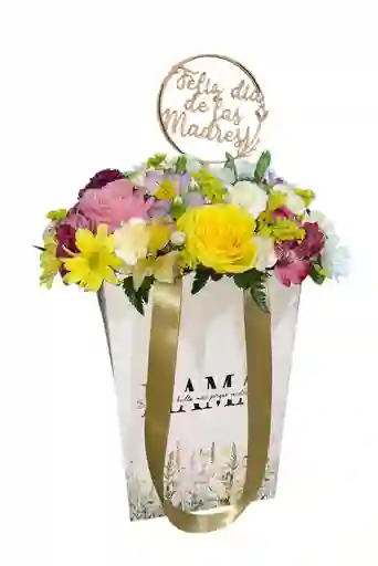 Amor De Mamá