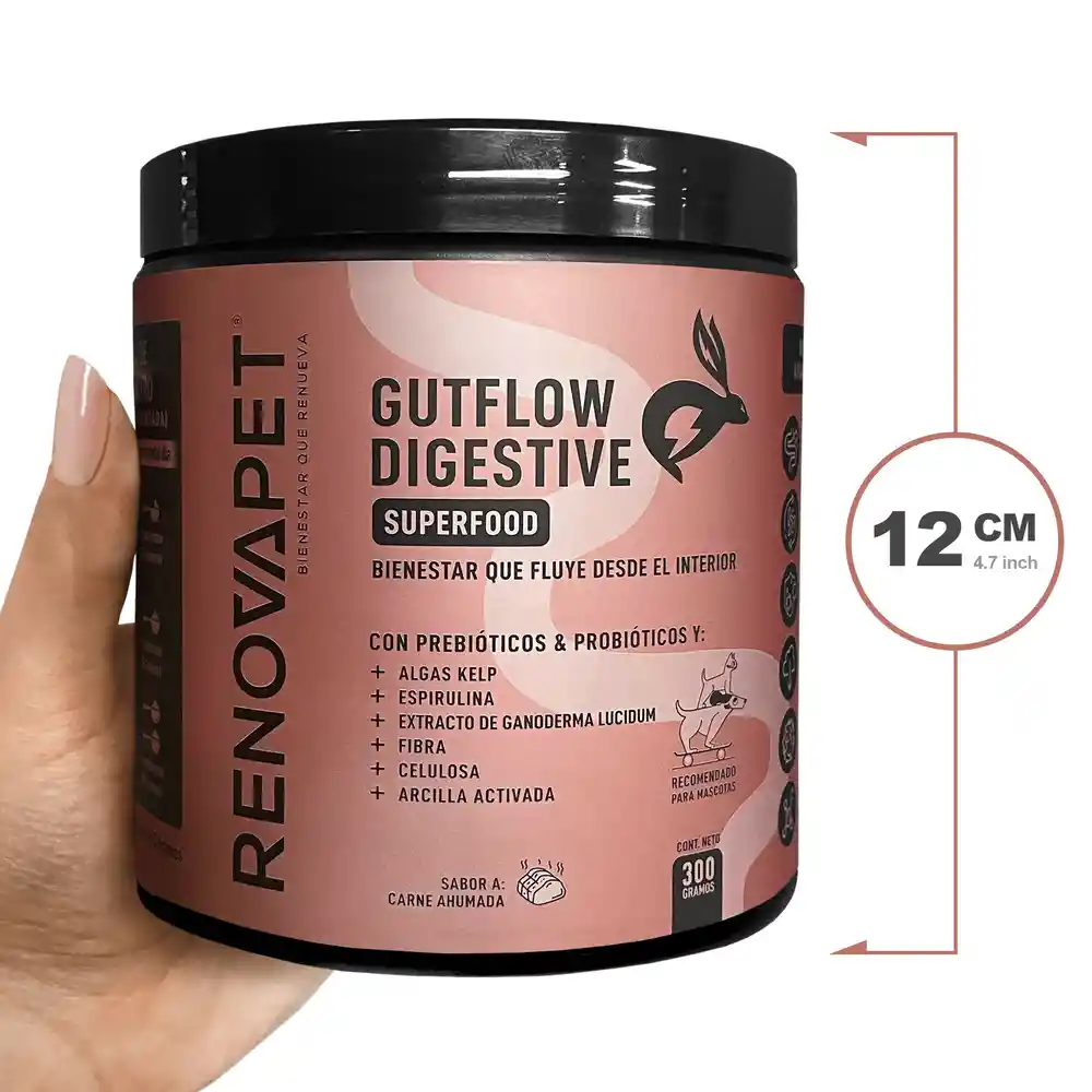 Suplemento Para Mejorar La Salud Digestiva | Gutflow Digestivo