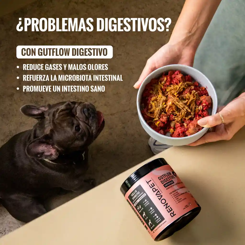 Suplemento Para Mejorar La Salud Digestiva | Gutflow Digestivo
