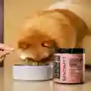 Suplemento Para Mejorar La Salud Digestiva | Gutflow Digestivo