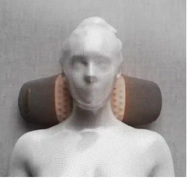 Cojin Cuello Pillow 004