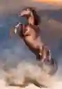Rompecabezas 500 Piezas Caballo Salvaje Clementoni Adultos