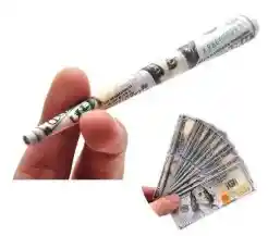 Papel Blunt Wrap X 1 Dollar Con Flitro
