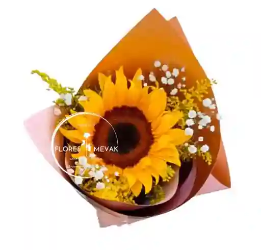 Flores Girasol En Solitario