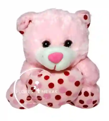 Peluche De Oso Pequeño