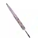 Lapiz Duo Para Cejas
