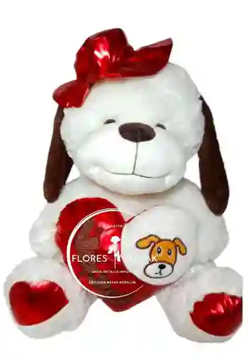 Peluche De Oso