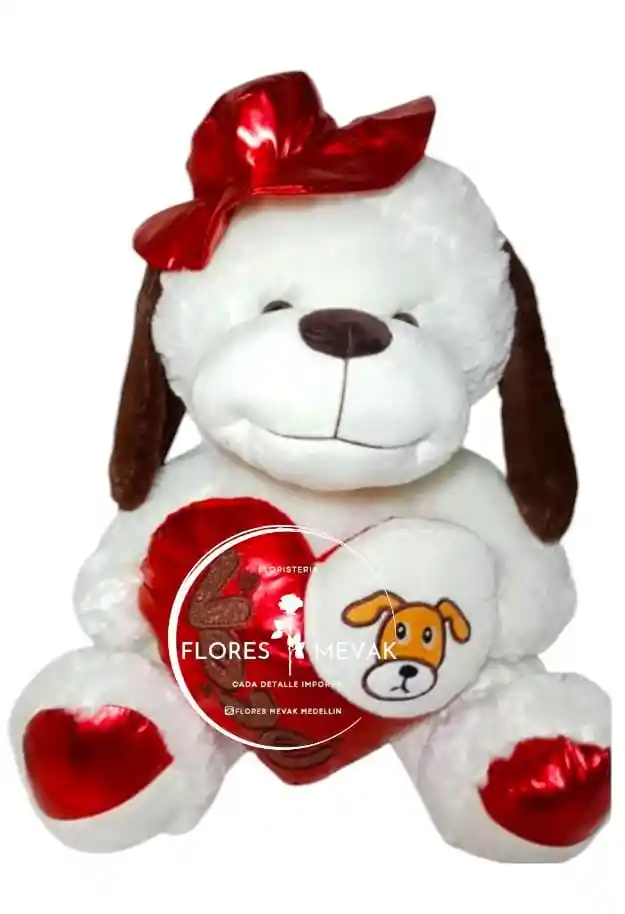 Peluche De Oso
