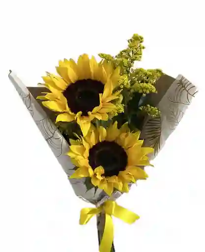 Duo De Girasoles