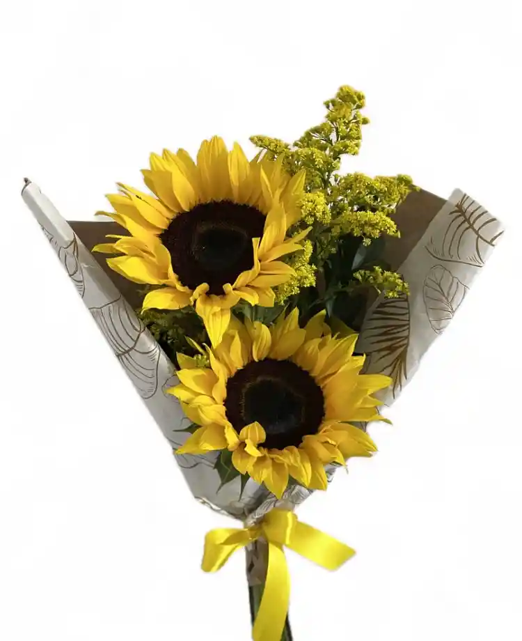 Duo De Girasoles