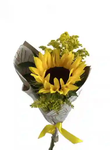 Girasol