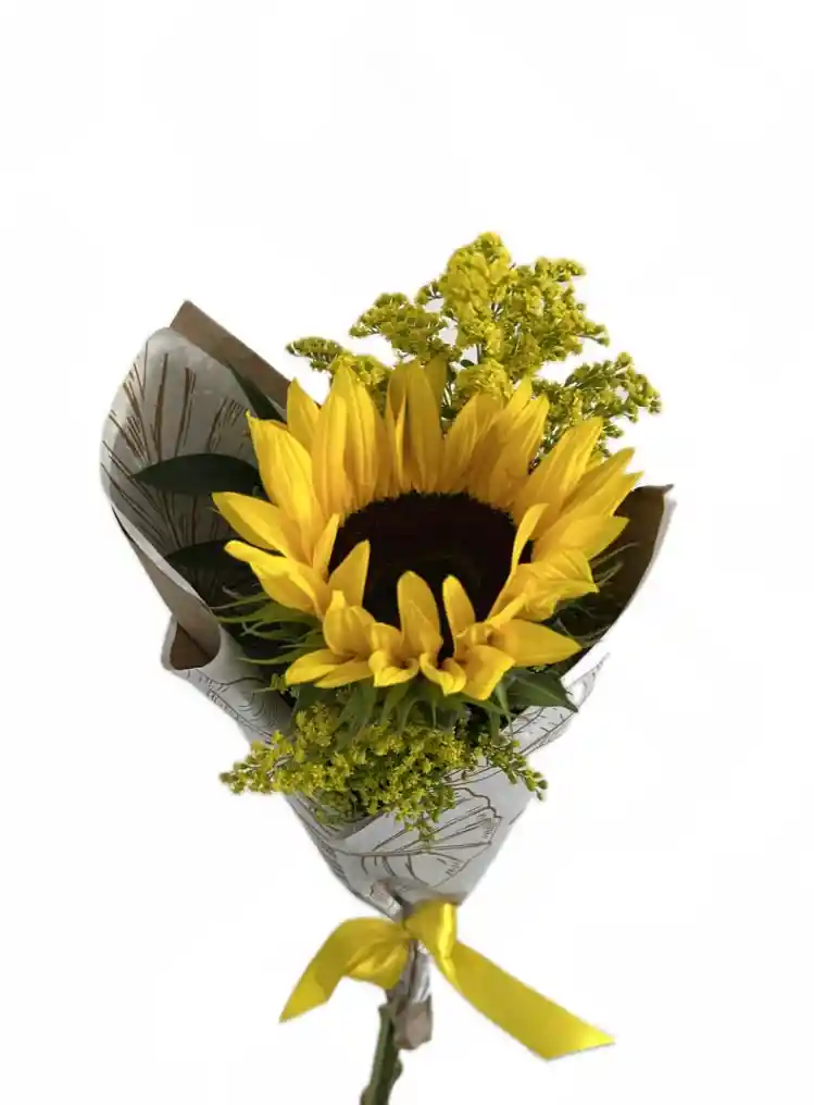Girasol