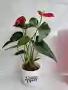 Mamá 2025 ❤️