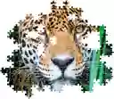 Rompecabezas 500 Piezas Jaguar En La Selva Clementoni