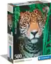 Rompecabezas 500 Piezas Jaguar En La Selva Clementoni