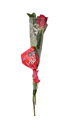 Rosa Arreglada Con Chomelo De Chocolate