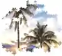 Rompecabezas 500 Piezas Puesta De Sol En Miami Clementoni
