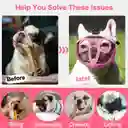 Bozal Perros Ñato Chato Bulldog Francés, Ingles, Pug, Boston