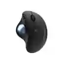 Mouse Logitech Ergo M575 Wireless Trackball Negro
