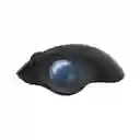 Mouse Logitech Ergo M575 Wireless Trackball Negro